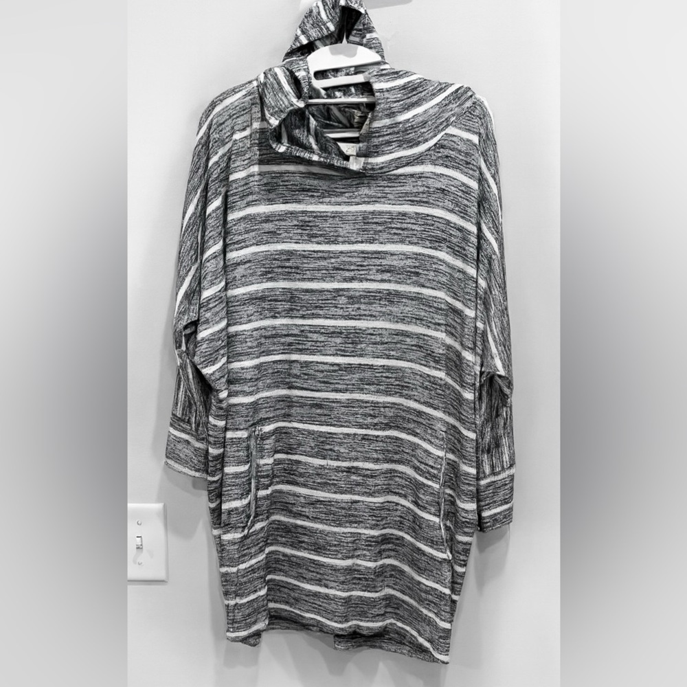 Striped Blue and White Hoodie